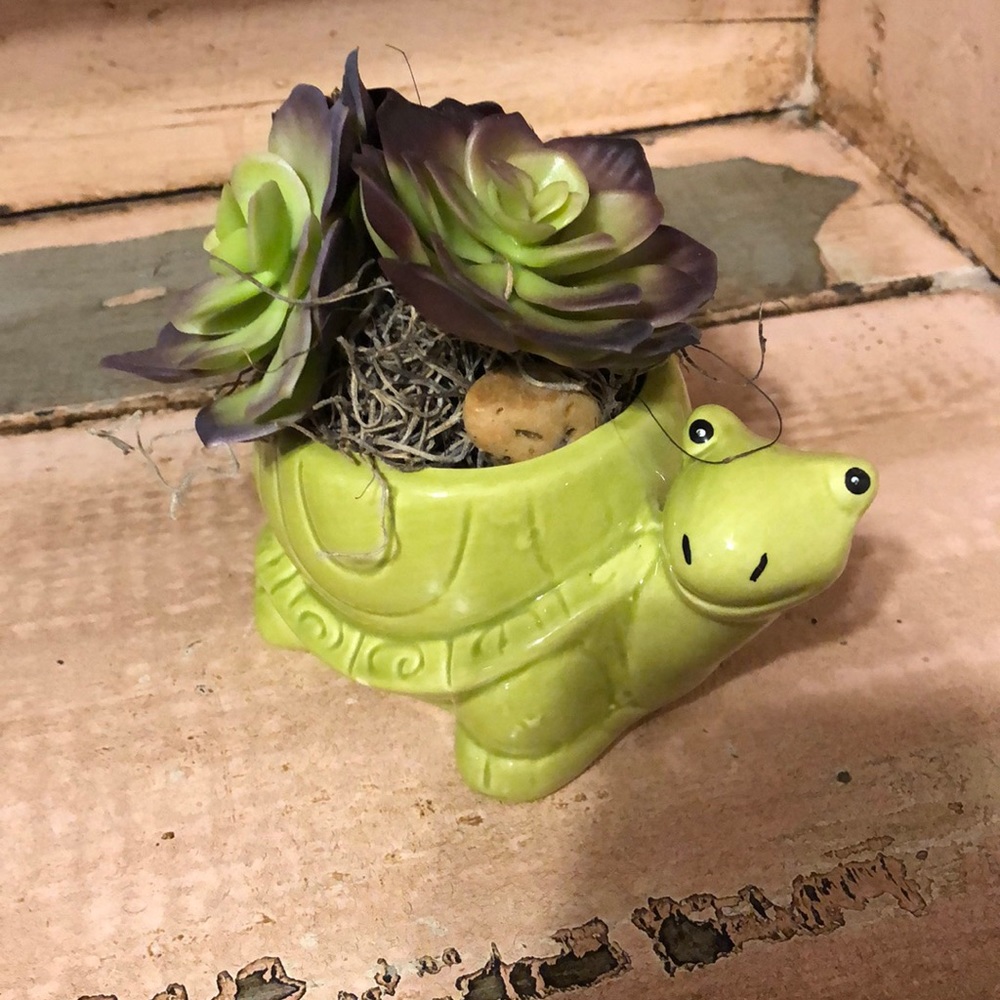 Turtle pot